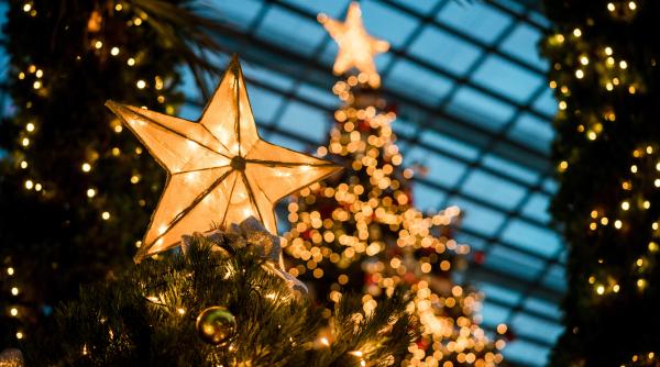 cum sa faci bradul de craciun sa para mai inalt trucuri utile