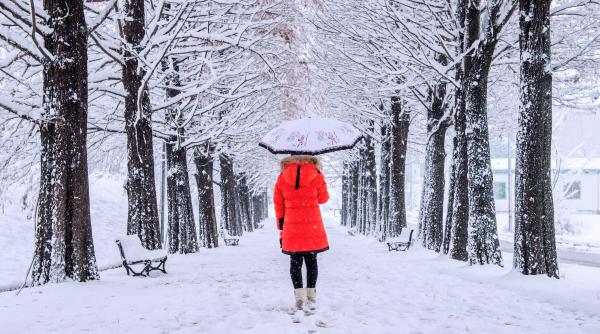 anm prognoza meteo pana la craciun in toate regiunile tarii