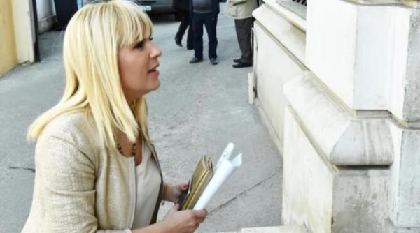 iccj decizie in dosarul de condamnare a elenei udrea