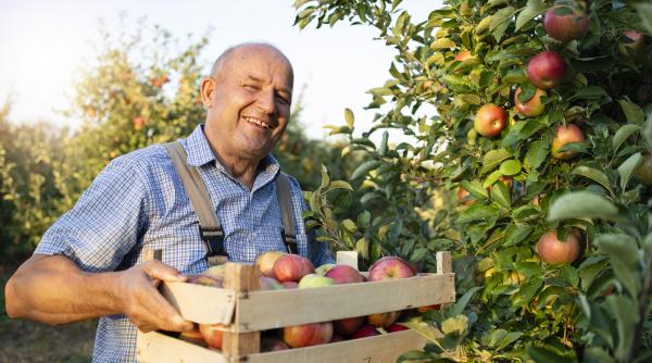 se schimba regulile pentru producatorii din sectorul fructelor si legumelor anunt de la madr