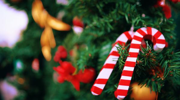 de ce sa nu pui dulciurile de craciun in brad
