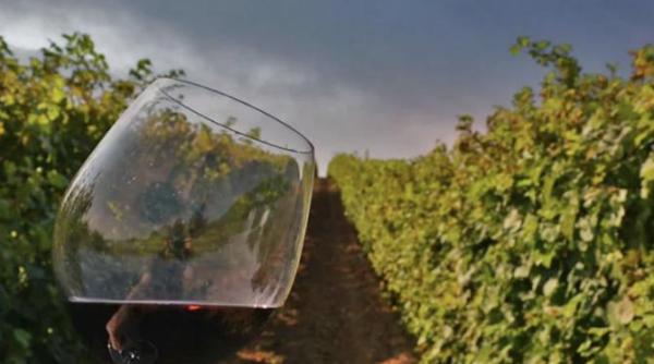 cramele recas toti producatorii de vin folosesc pesticide pentru protejarea viei dar de ce topul din dailymail care punea vinul romanesc pe primul loc este fals a fost sters articolul