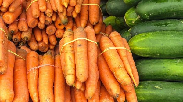 iluzia de a manca bio explicatii din industria alimentara produsele bio sunt despre refacerea solului din punct de vedere calitativ e discutabil video