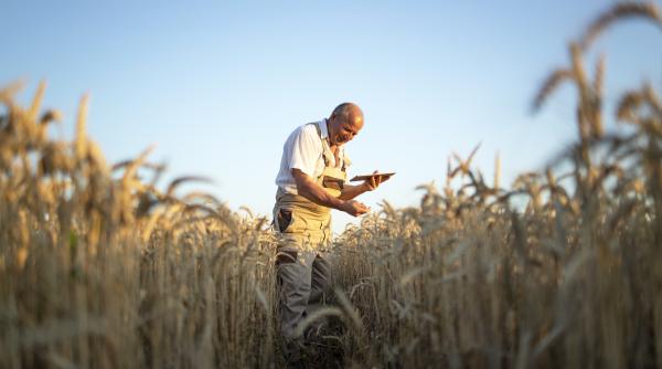 cine primeste noua subventie de 100 euro hectar de la ministerul agriculturii