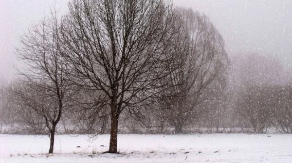 anm alerta meteo intensificari ale vantului peste 100 km h la munte