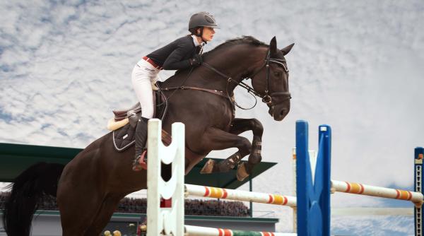 motivul pentru care calaretii din rusia si belarus nu vor concura la jo de la paris 2024 acopera perioada cuprinsa intre 1 ianuarie 2023 si 31 decembrie 2023