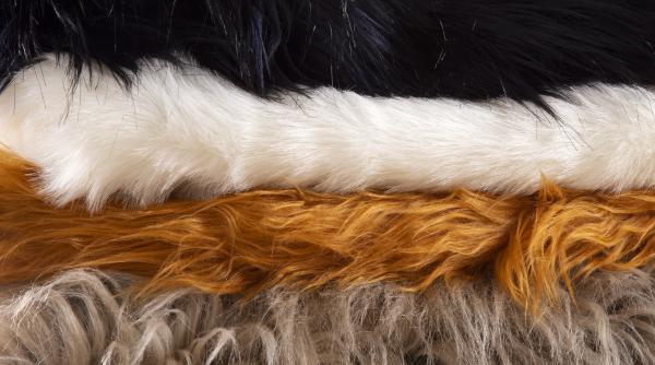 referendum in elvetia cetatenii voteaza daca importurile de foie gras si blanuri vor fi interzise