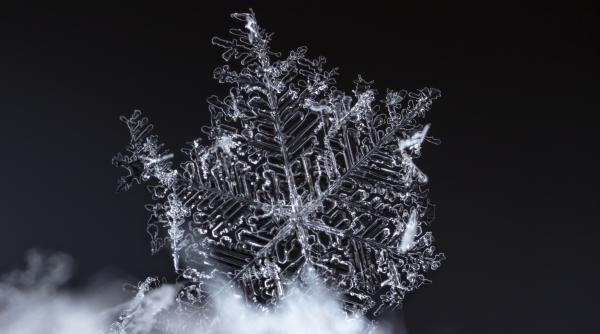 cel mai mare fulg de zapada vazut vreodata