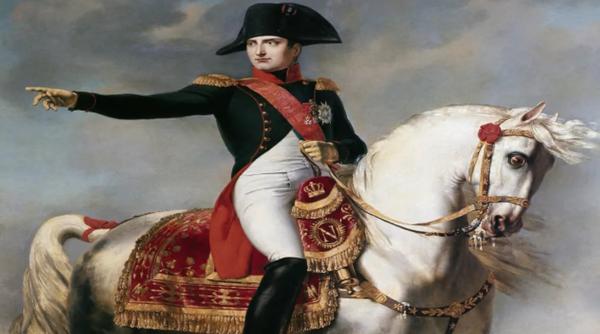 ce relatie avea napoleon bonaparte cu pisicile