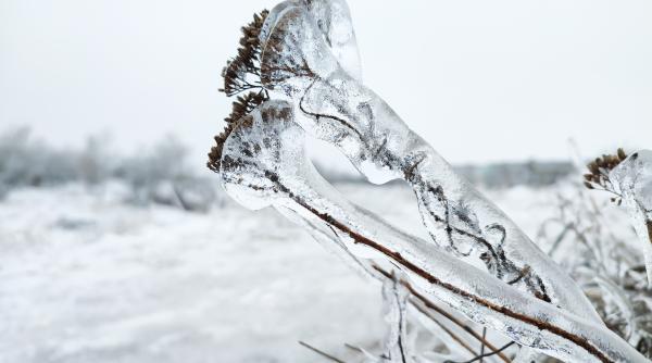 nordul europei ingheata temperaturi de sub minus 40 de grade celsius
