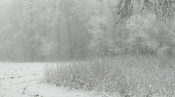 romania lovita de un nou ciclon polar elena mateescu anm temperaturi de 15 grade