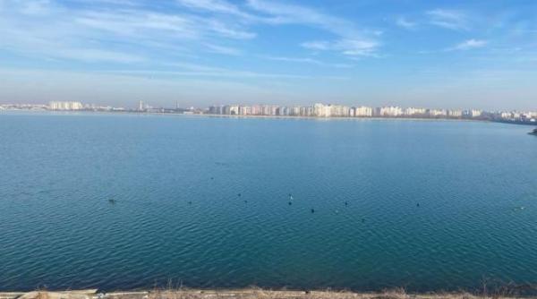 guta aruncata de pescari un pericol pentru pasari doua cazuri semnalate in zona lacul morii in decurs de o zi