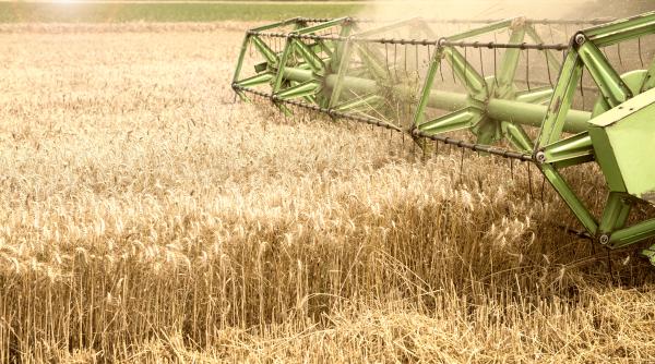 romania nu e granarul europei mit interbelic oltenia era sahara unde e vegetatie buna avem seceta si inundatii germania producea mai mult dar exista o mare diferenta