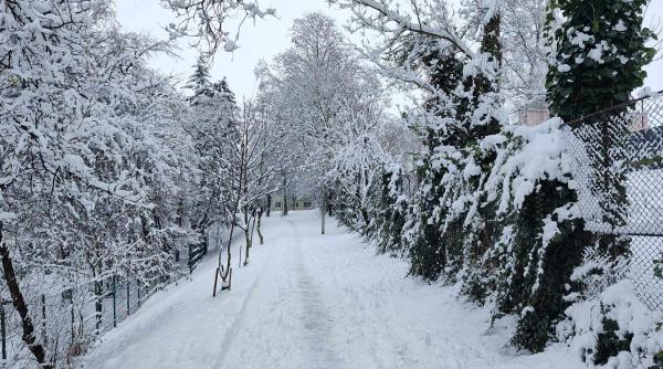 scolile din iasi inchise din cauza vremii nefavorabile cursurile se vor recupera ulterior
