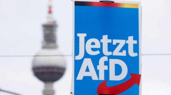 expulzarea imigrantilor neasimilati chiar daca acestia au cetatenie propunerile activistilor neonazisti si ale partidului alternativa pentru germania