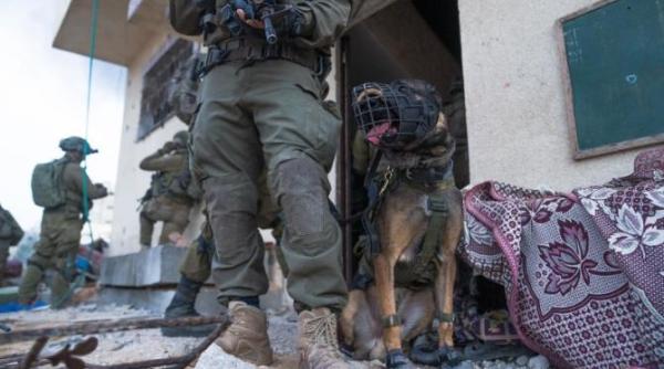 seful statului major al armatei israeliene soldatii israelieni vor sti sa lupte in liban daca este necesar