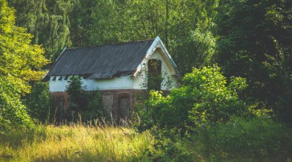 familia care traieste din 2005 intr o casa fara acces auto in padure tatal copiii s au saturat de taiat lemne