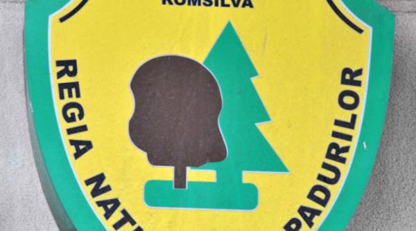 cine este marius dan siiulescu noul director romsilva