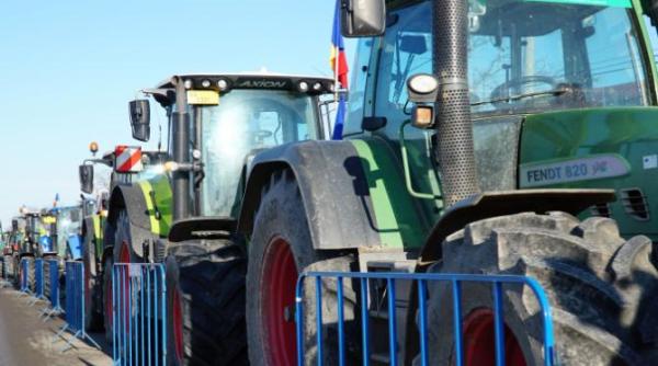 mana nevazuta din spatele protestelor fermierilor cum se aseamana cu protestul profesorilor diana tache noi nu stim sa cerem socoteala