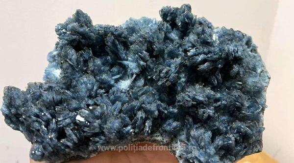 zeci de kilograme de flori de mina descoperite si retinute in aeroportul din cluj nu aveau certificat de export emis de ministerul culturii