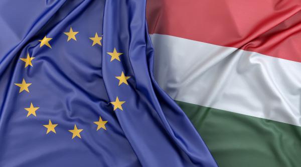 parlamentul european a adoptat rezolutia prin care ungaria pierde dreptul de veto s a cerut amanarea preluarii presedintiei ue
