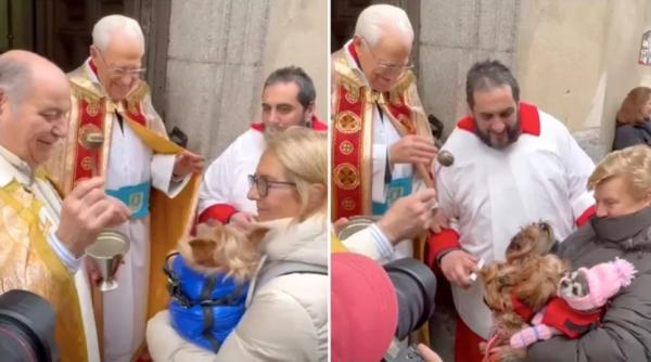 orasul in care cainii sunt dusi la biserica video