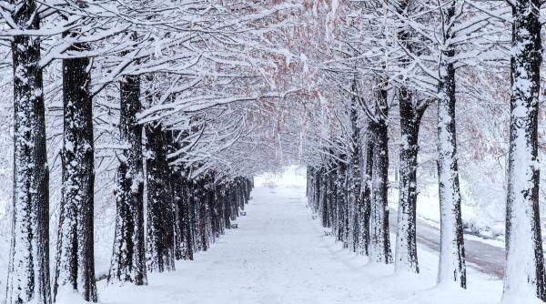 cum va fi vremea in urmatoarea perioada elena mateescu anm ne asteptam la minime de 18 grade