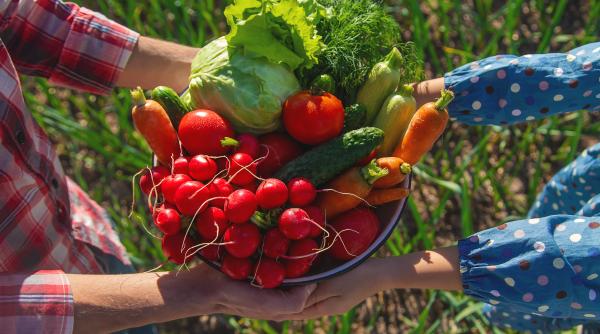 producatorii romani au nevoie de piete si depozite frumosu nu a existat niciun primar care sa vina sa spuna da domnule am o piata