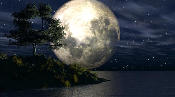 25 ianuarie prima luna plina in leu din 2024 cum vor fi influentate zodiile