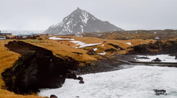 mancarea ciudata pe care barbatii islandezi o consuma de ziua lor anastasia cruz trebuie sa i o servesc sotului video