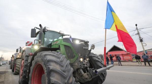 guvernul le raspunde fermierilor cu noi masuri ciolacu acordam 100 de euro per animal