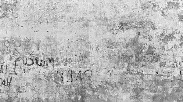 doi tineri cercetati pentru vandalizarea unei cladiri istorice din centrul clujului foto