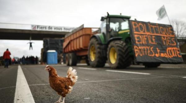protestele fermierilor din franta la un pas de escaladare manifestantii nu mai vor piete globalizate guvernul in criza de timp