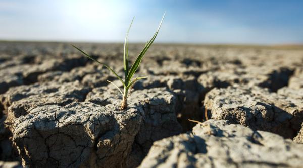 2023 cel mai cald an din istoria tarii noastre elena mateescu anm recomandari pentru fermieri in conditii de seceta video