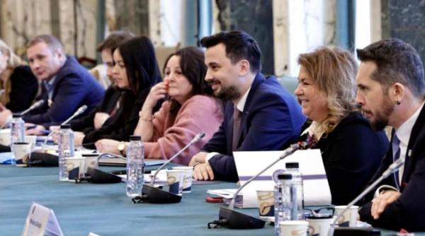 consultari privind proiectul planului de actiune in domeniul sanatatii mintale