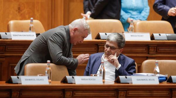 florin roman ar fi gasit solutia pentru alegeri avem bani pentru pensionari sursae pnl