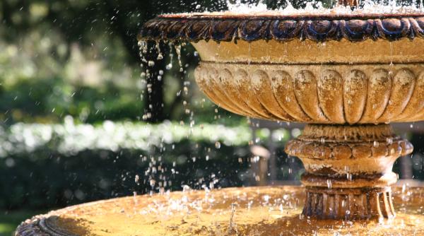 doi activisti italieni au stropit cu vopsea o fantana din roma pentru a protesta impotriva prezentei animalelor in circuri video