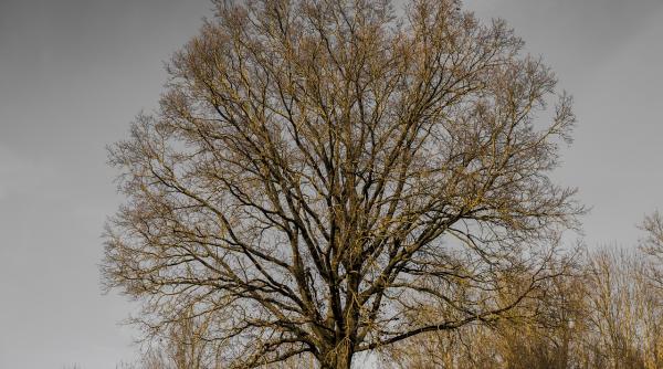 anm vreme deosebit de calda in bucuresti maximele vor ajunge la 19 grade