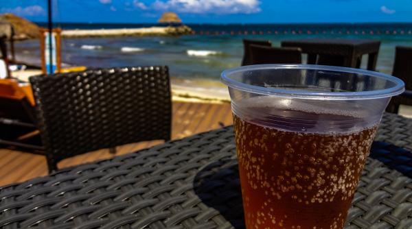 fara alcool in zanzibar preturile la bere au crescut cu aproape 100prc ministrul turismului a demisionat