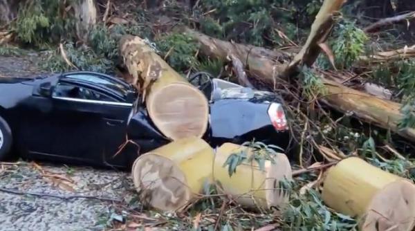 pana de curent uriasa in california dupa furtuna peste 350 000 de case nu au curent electric