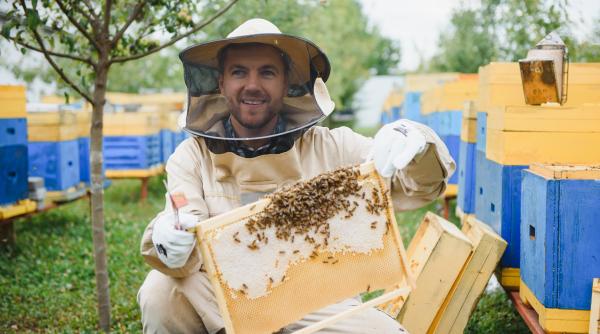 12 milioane de euro ajutor de stat pentru crescatorii de albine