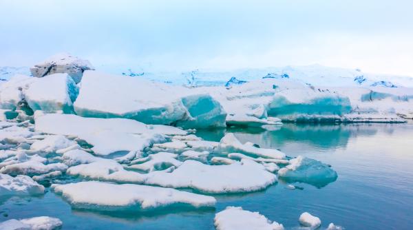 imaginea uluitoare cu un urs polar dormind pe un ghetar starneste emotii in randul internautilor