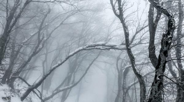 irina eleva de 10 ce vine zilnic la scoala de la 15 kilometri distanta isi doreste ca intr o zi sa fie studenta la teatru