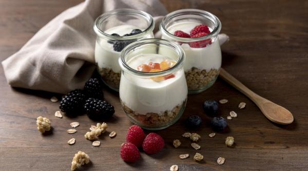 care este cel mai bun iaurt cu fructe mihaela bilic este un desert natural a meritat