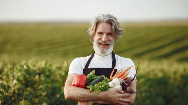 din 26 februarie incep platile cine primeste 1 000 euro ajutor de minimis