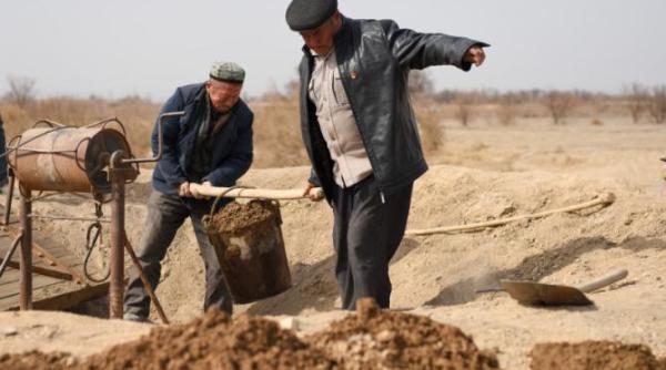 munca fortata inca exista in china un studiu arata ca in xinjiang membrii etniei uigure sunt supusi acestei practici abuzive