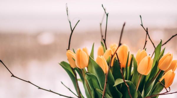 am scapat de iarna anm anunta temperaturi mai ridicate pana in 18 martie vremea pe o luna