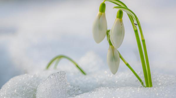 vremea pana vineri 23 februarie temperaturi de primavara dar si ninsoare