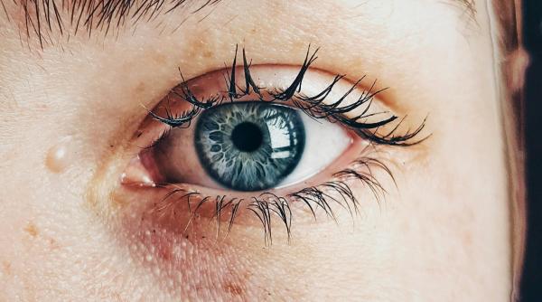 o fetita in varsta de doar 11 ani a luat viata a doi baieti cazul a facut inconjurul lumii autoarea fiind in libertate