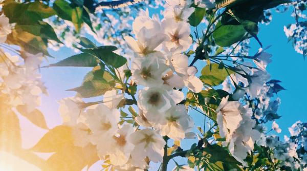 vremea pana pe 18 martie estimari meteorologice pentru perioada urmatoare